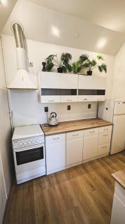 Starogard Gdanski city center apartment - 3