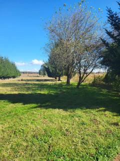 Birsalmafa Vendégház - 4