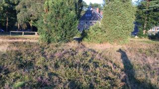 Gasthof Menke - 4
