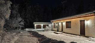 Arctic Forest Hide - Nature & Silence - 8