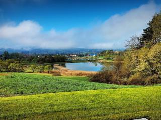 Dzikie Lisko - Apartamenty w Bieszczadach - 9