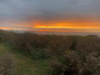 Cottage on remote wild coast - 9