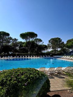 Le Panorama des Pins - 4 personnes , Terrasse et Piscine - Saint-Raphaël - 1
