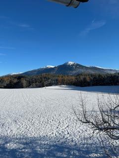 Apartment Eichhof - 5