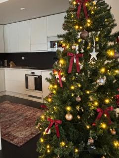 North Saga Luxury Apartment - 8