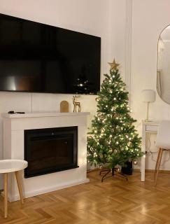 Romantic city centre flat - Alexandra Apartment - 0