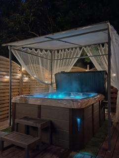 Détente sous le figuier - 8