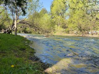 CABAÑAS AILIN-CO - 6