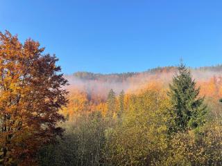 Family skiing under Chopok - 1