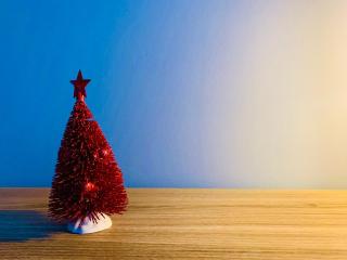 Il Giglio di Mare, la spiaggia a un passo da te - 2