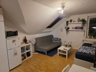Business-Travel-Apartment & Ferienwohnung Münster, Check-In von 15 bis 22 Uhr möglich, 100 EUR Schadenskaution per PayPal erforderlich! - 9