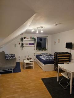 Business-Travel-Apartment & Ferienwohnung Münster, Check-In von 15 bis 22 Uhr möglich, 100 EUR Schadenskaution per PayPal erforderlich! - 0