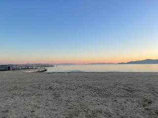 Le Jardin Ensoleillé du Domaine des Mandariniers - 7