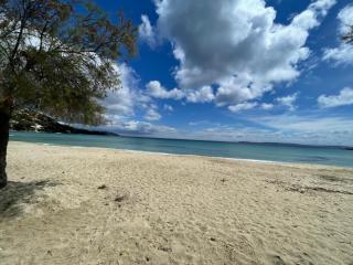 Le Jardin Ensoleillé du Domaine des Mandariniers - 1