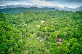 A Beary Nice Cabin - 4