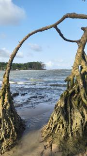 Redário Pôr Do Sol - Hospedagem e Experiência no Marajó - 1
