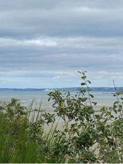 Cabane front de mer - 8