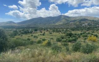 CASA RURAL MALAGA,VILLA FAMARA,10 personas,DESAYUNO ANDALUZ INCLUIDO EN EL PRECIO - 9