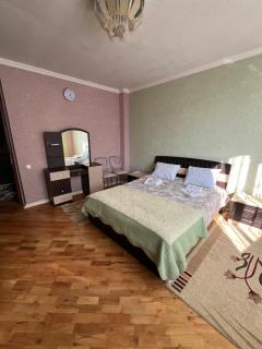 Sheki Modern Guest Home - 8