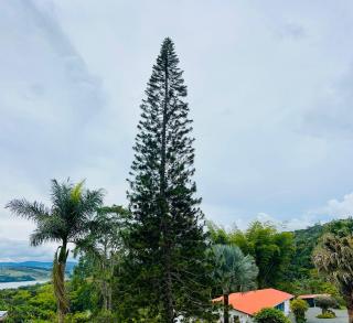 Finca Bella Village Para Amantes del Entorno Rural - 9