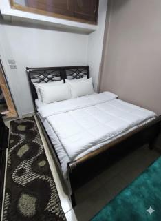 Downtown Cairo Apartment Shambeillon St - 2