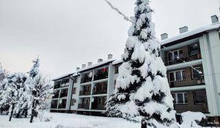 Bieszczady Apartament Gniazdo Baligród - 4