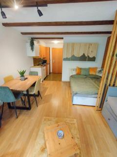 Studio alpin & central Ovronnaz avec parking - 5