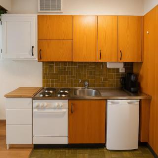 Studio alpin & central Ovronnaz avec parking - 2