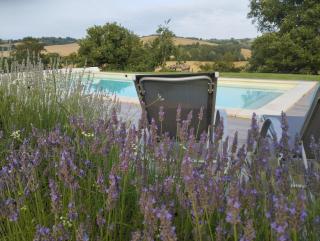 Gîte cosy en pleine nature à Grazac - 8