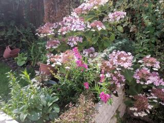 EMA, Castle Donington Circuit contractors group 4 bedrooms 7 bed house-private parking - 8