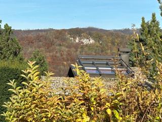 Harzer Sonnenalm - 6