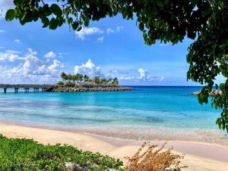 T.Cole’s Holiday Rental - Saint James - 9