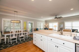 The Pink Flamingo - 1