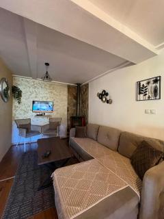 Apartments Baron Žabljak - 7