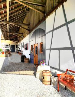 Zum Scheunenhof - Scheune - 0