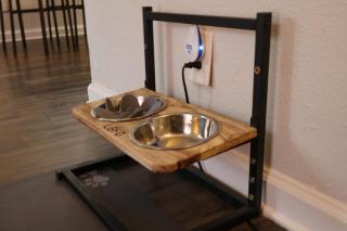 Comfy Central Walk to Zilker Downtown! - 6