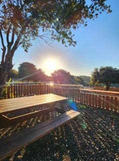 חאן בכרמל - 6