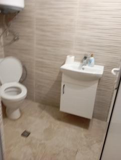 Стая ириче 2 - 1