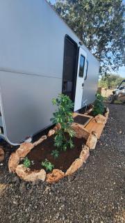 חאן בכרמל - 9