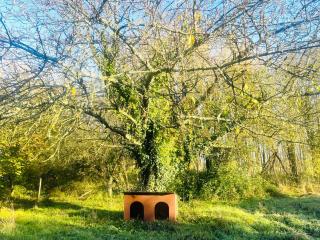 La Résidence Sycomorette - 2