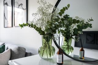 Cozy apartment close to services - 3