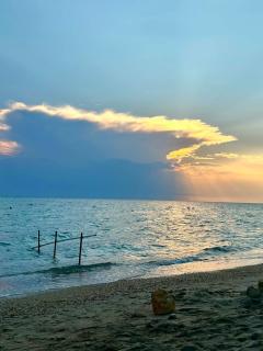 Elani Cactus House - 8