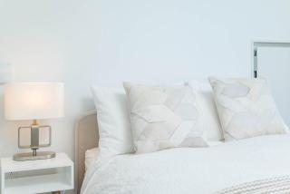 Upscale Penthouse with Gym Parking near MGH TUFTS - 5