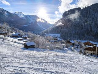 La petite Chaumière des Neiges - 4