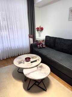 Cozy Skopje Retreat 2 - 3