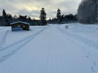 Mõedaku Puhkekeskus - 2