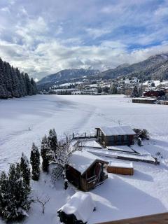 Cesa Bernard - Apartment Cima 12 e new Apartment Fraine - 8