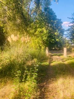 La Résidence Sycomorette - 6