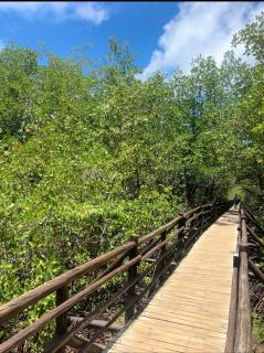 Villa Cotinguiba Porto de pedras Tatuamunha Casa 06 - 2