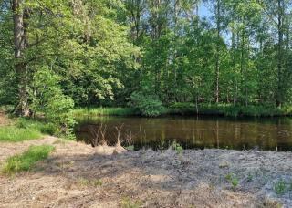 Historisches Schwedenhaus, 25m zum Wasser im Garten, ideal zum Angeln, 8 Personen - 7